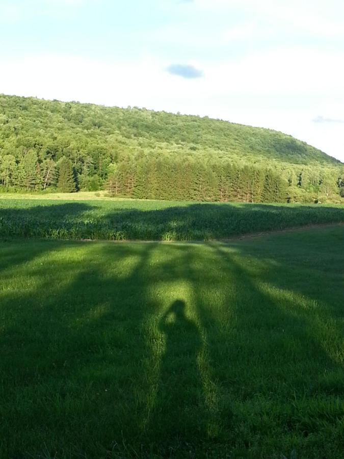 Tenwood Lodge อิทากา ภายนอก รูปภาพ